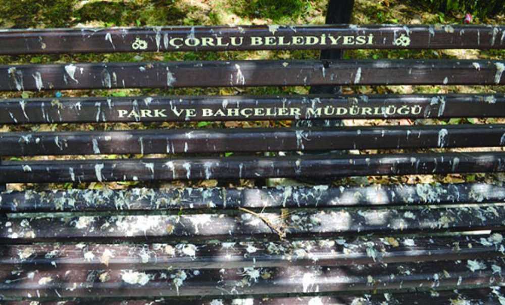 Fıskiye Var Çalışmıyor, Bank Var Oturulmuyor!