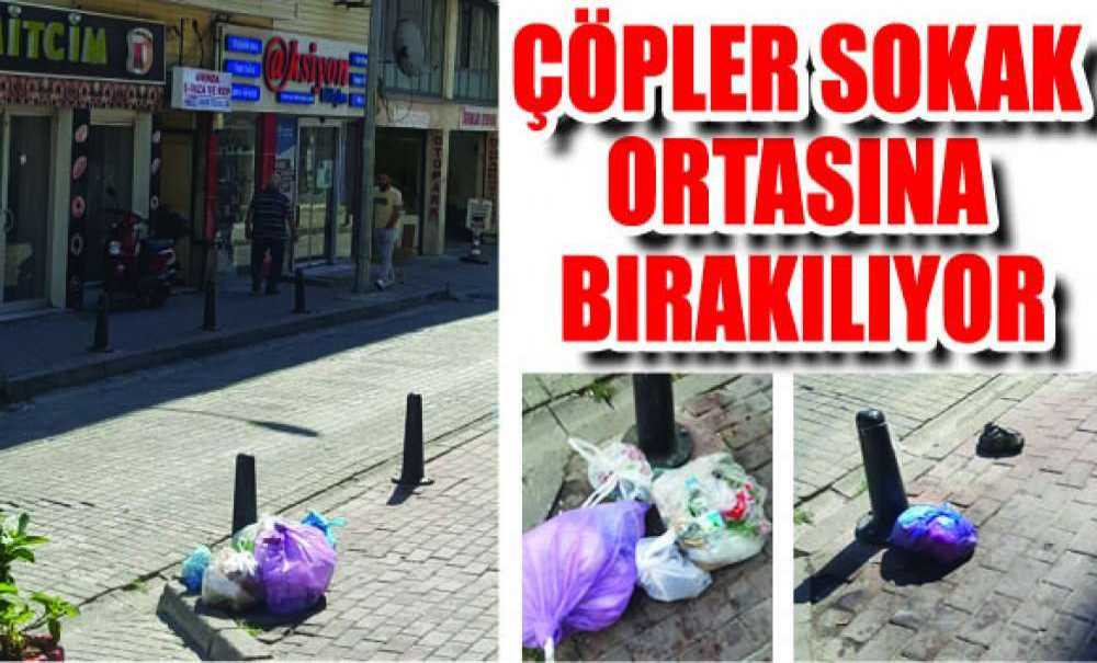 Çöpler Sokak Ortasına Bırakılıyor