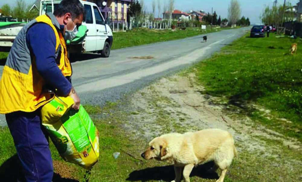 “Sokaktaki Dostlarımıza Sahip Çıkıyoruz”