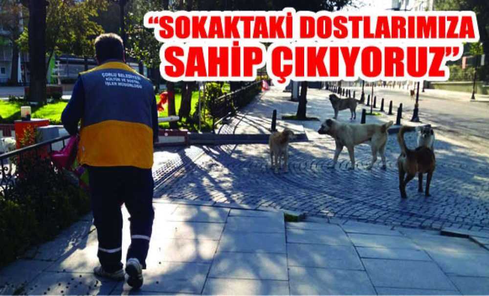 “Sokaktaki Dostlarımıza Sahip Çıkıyoruz”