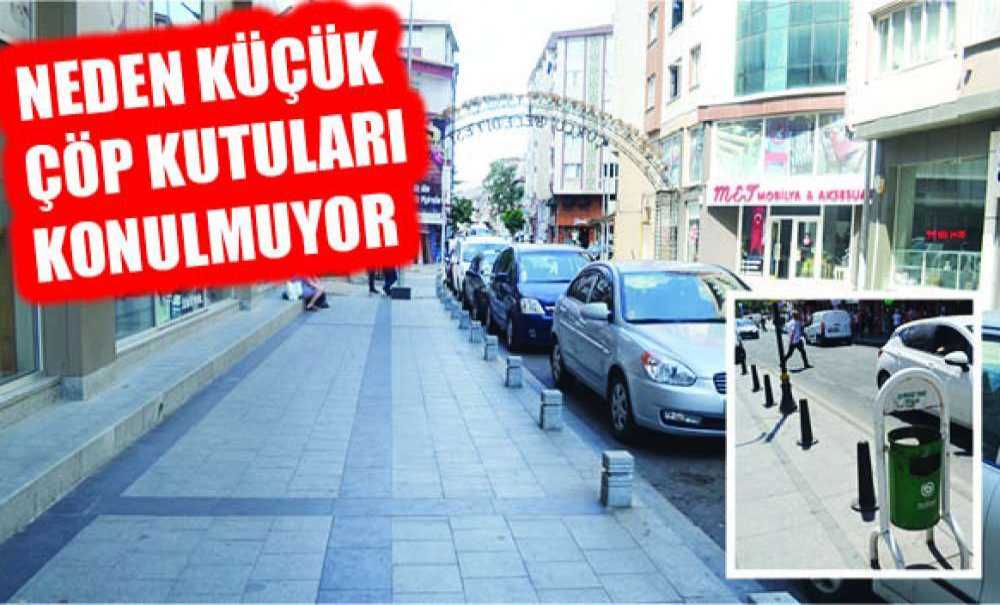 Neden Küçük Çöp Kutuları Konulmuyor