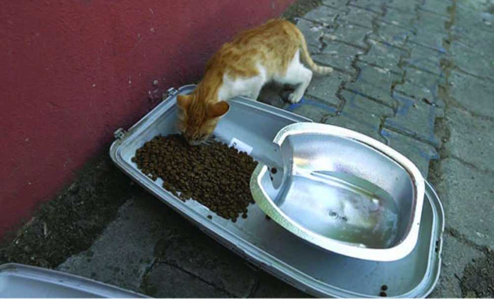 Tredaş'tan “Hayatı Aydınlat” Projesi