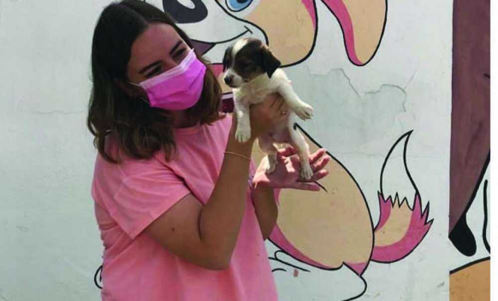 ‘Yeni Bir Başlangıç' Projesi İlgi Görüyor