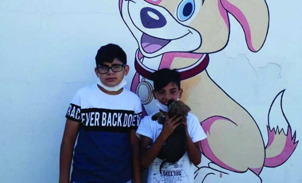 ‘Yeni Bir Başlangıç' Projesi İlgi Görüyor