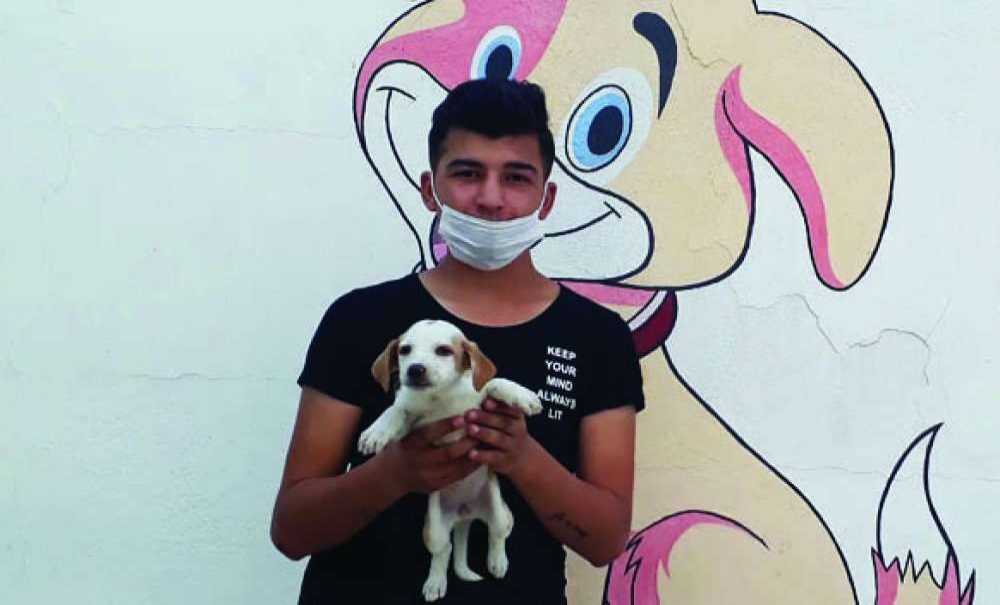 ‘Yeni Bir Başlangıç' Projesi İlgi Görüyor