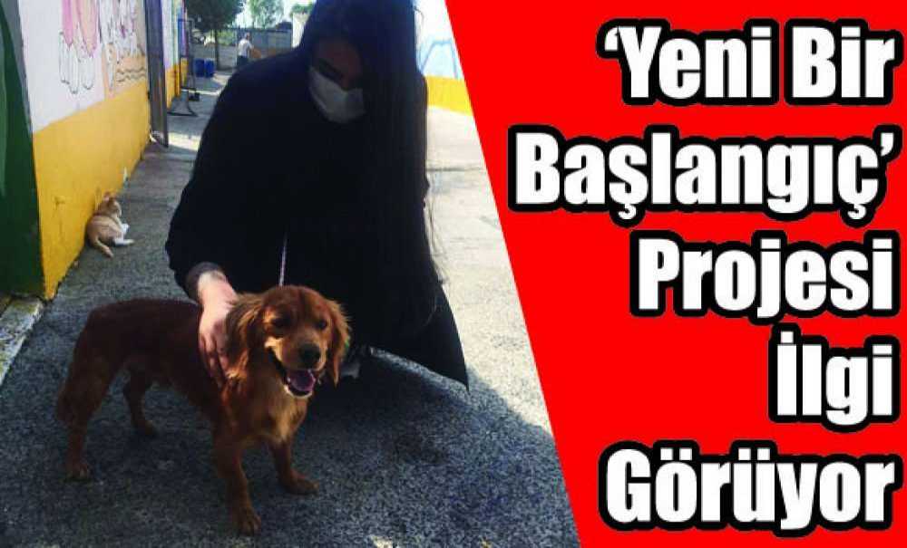 ‘Yeni Bir Başlangıç' Projesi İlgi Görüyor