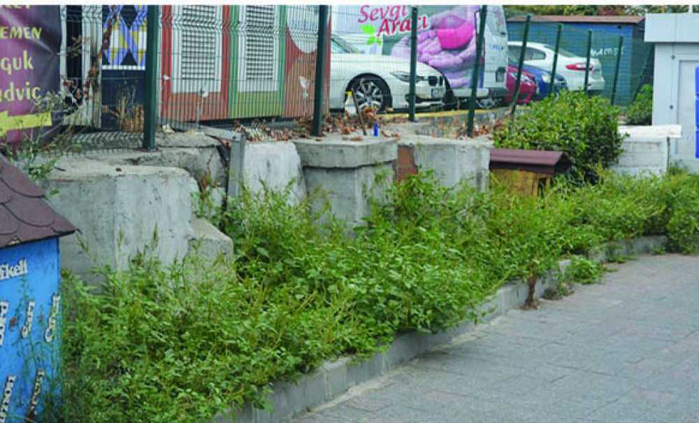 İzbelik Görüntüye Vatandaşlar Tepki Gösterdi