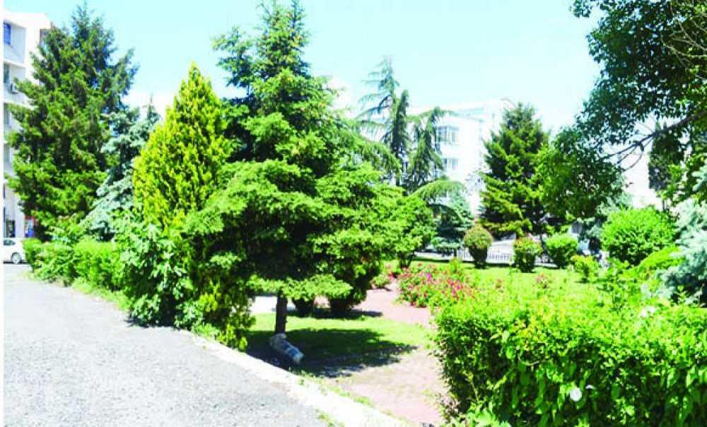 “Uyuşturucuyla Mücadele Konusunda Kararlıyız”