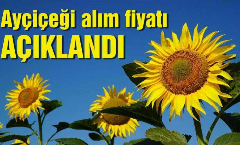 Ayçiçeği Alım Fiyatı Açıklandı