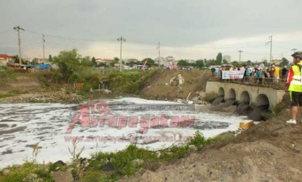 Ergene Hayata Dönsün