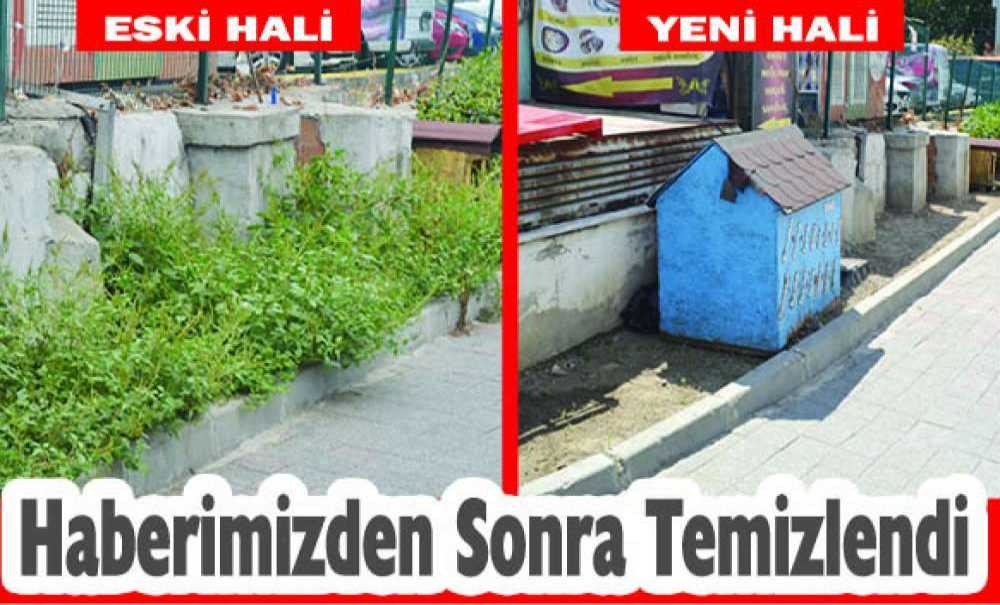 Haberimizden Sonra Temizlendi