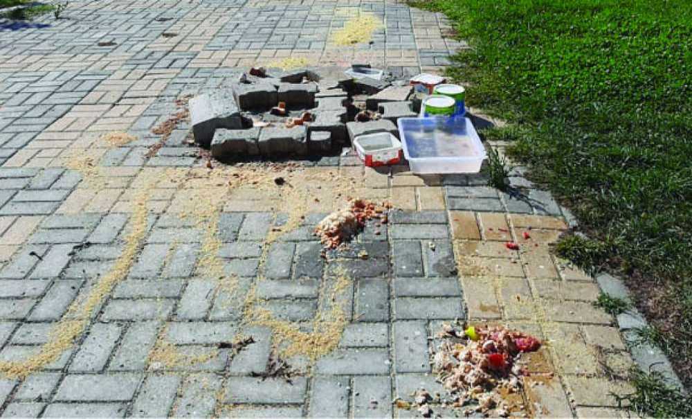 Çorlu Belediyesi Bu Görüntülerin Önüne Geçsin