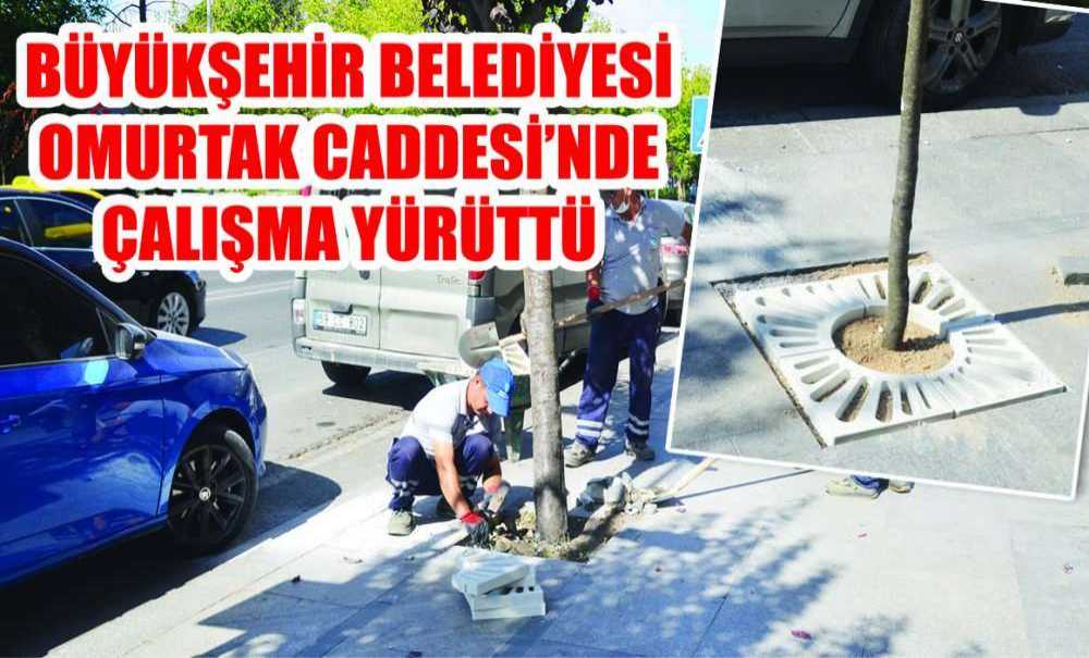 Büyükşehir Belediyesi Omurtak Caddesi'nde Çalışma Yürüttü