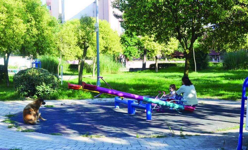 “Belediye Kulağının Üzerine Yattı”