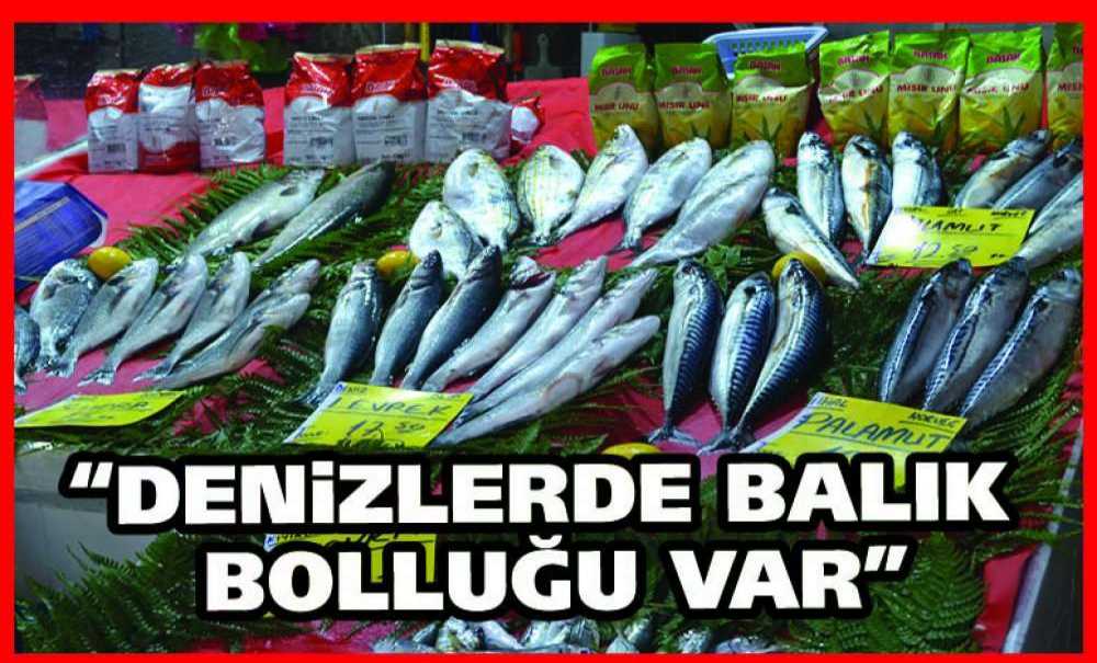 “Denizlerde Balık Bolluğu Var”