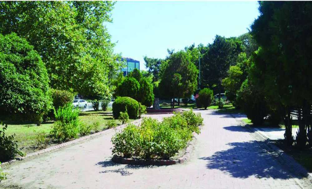 Madde Bağımlarının Parktan Ayağı Kesildi