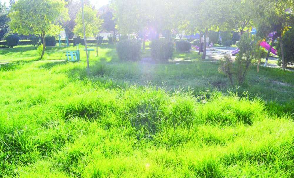 Çorlu Halkının Sesi Olmaya Devam Edeceğiz