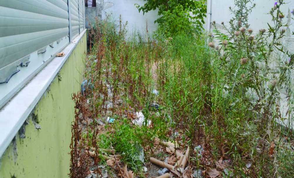 Eski Askerlik Şubesi Çürümeye Terk Edildi