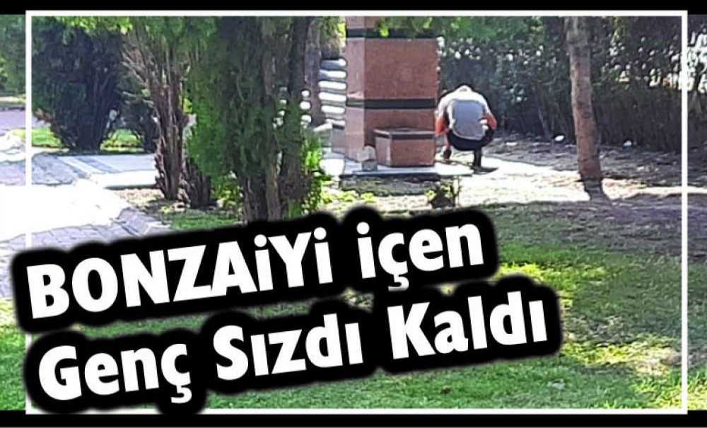 Bonzaiyi İçen Genç Sızdı Kaldı