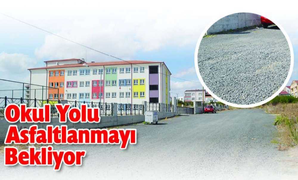 Okul Yolu Asfaltlanmayı Bekliyor