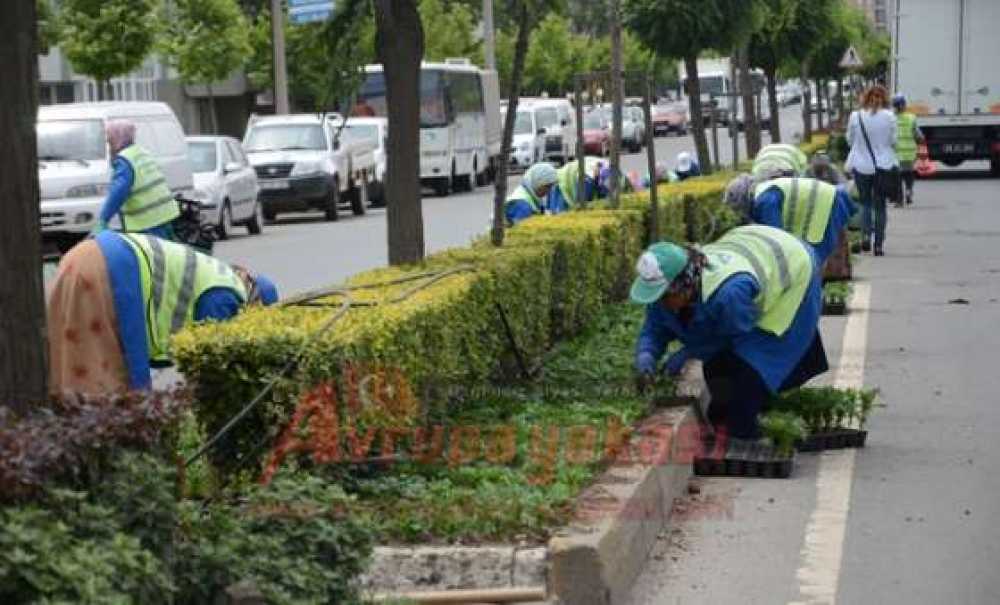Park Ve Bahçeler Müdürlüğü Çalışıyor