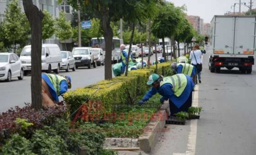 Park Ve Bahçeler Müdürlüğü Çalışıyor