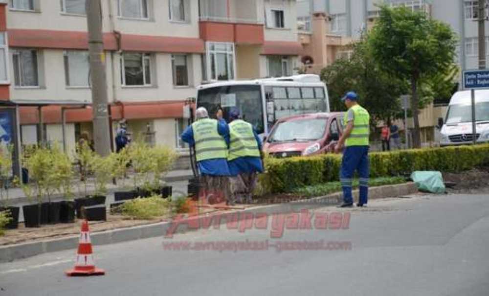 Park Ve Bahçeler Müdürlüğü Çalışıyor