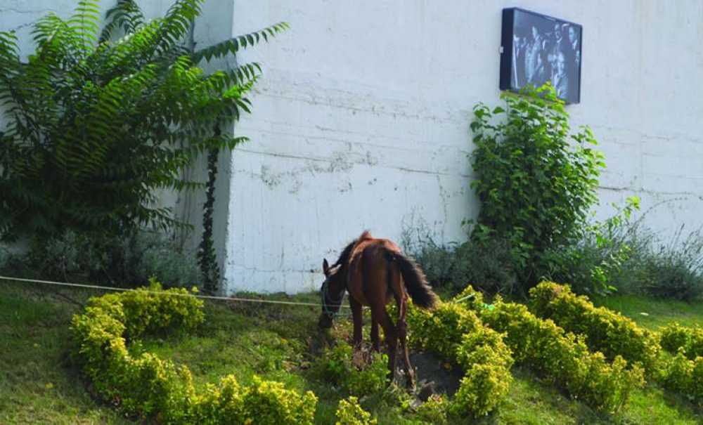 Bu Kadarda Olmaz Dedirten Görüntü !!!