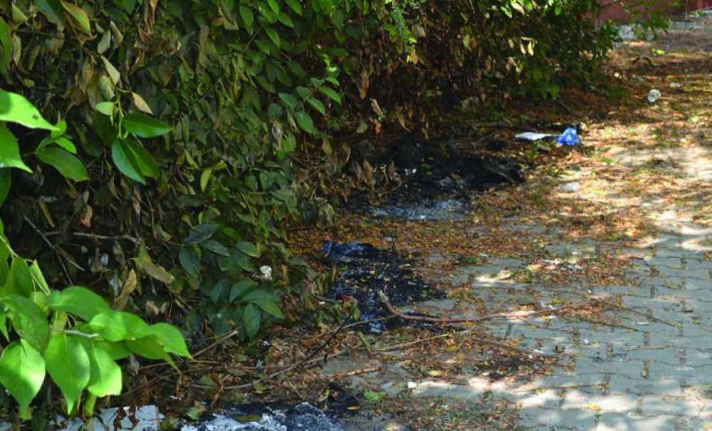 “Artık Bu Şekilde Yaşamak İstemiyoruz”