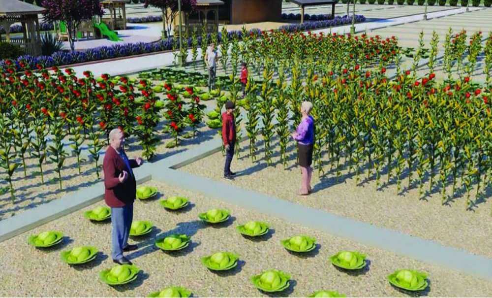 ‘Hobi Bahçesi' Kayıtları İçin Son Gün 31 Ekim