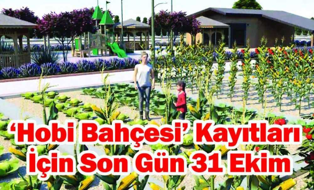 ‘Hobi Bahçesi' Kayıtları İçin Son Gün 31 Ekim