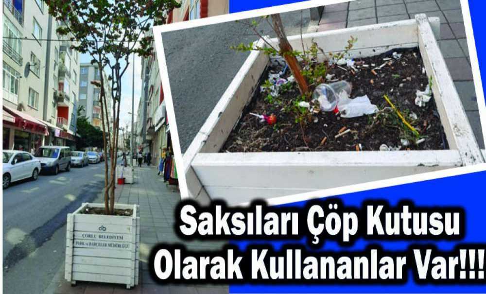 Saksıları Çöp Kutusu Olarak Kullananlar Var!!!