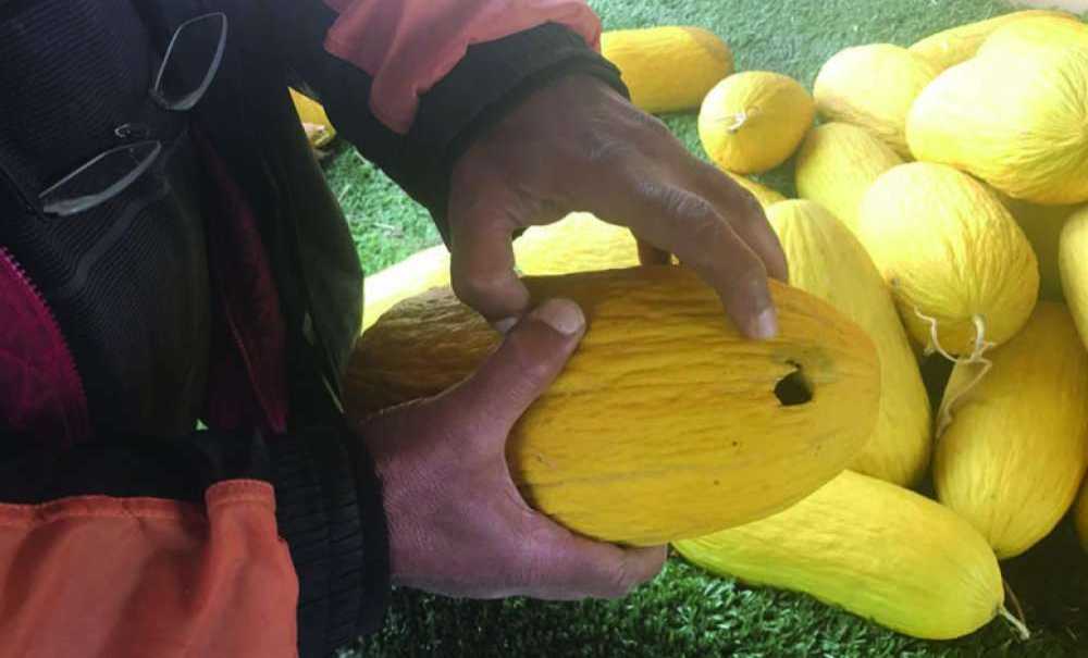 Çorlu'daki Üreticilere Müjdeli Haber