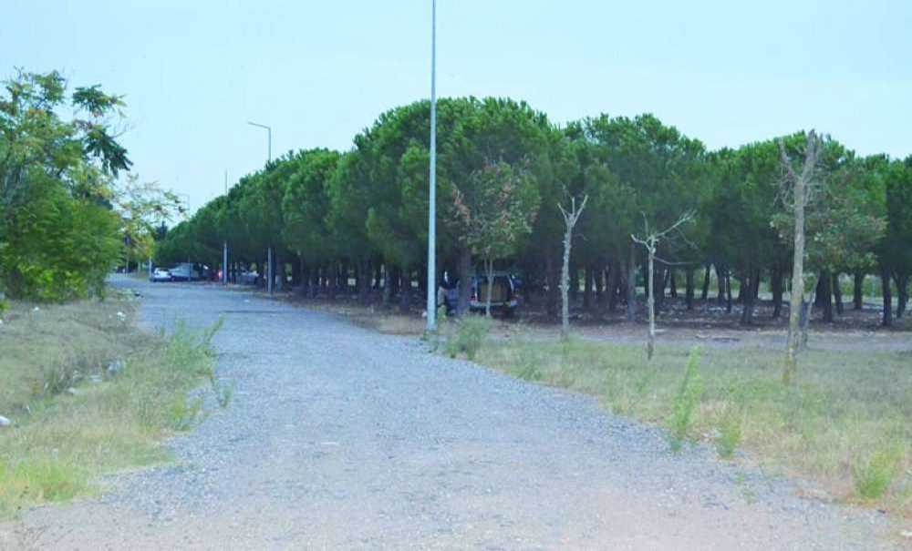 Tema Parkı Sahipsiz Kaldı