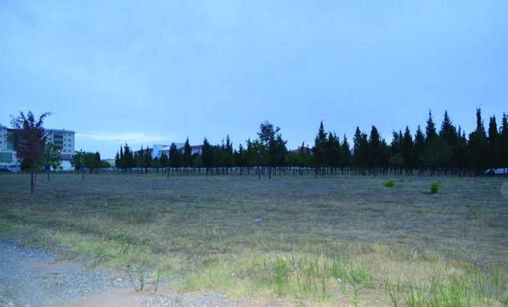 Tema Parkı İçin Müjdeli Haber