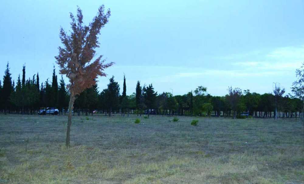 Tema Parkı İçin Müjdeli Haber