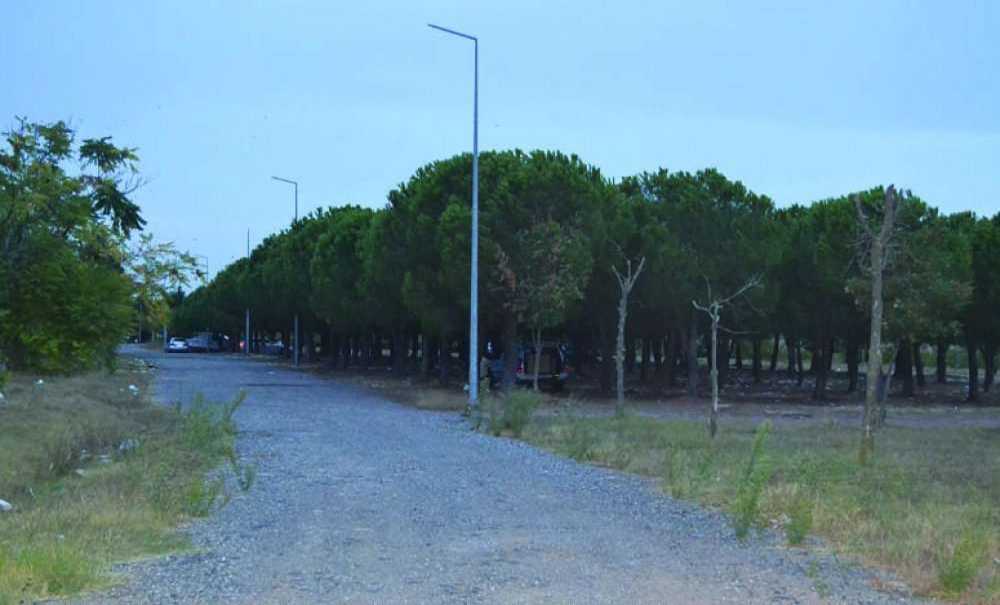 Tema Parkı İçin Müjdeli Haber