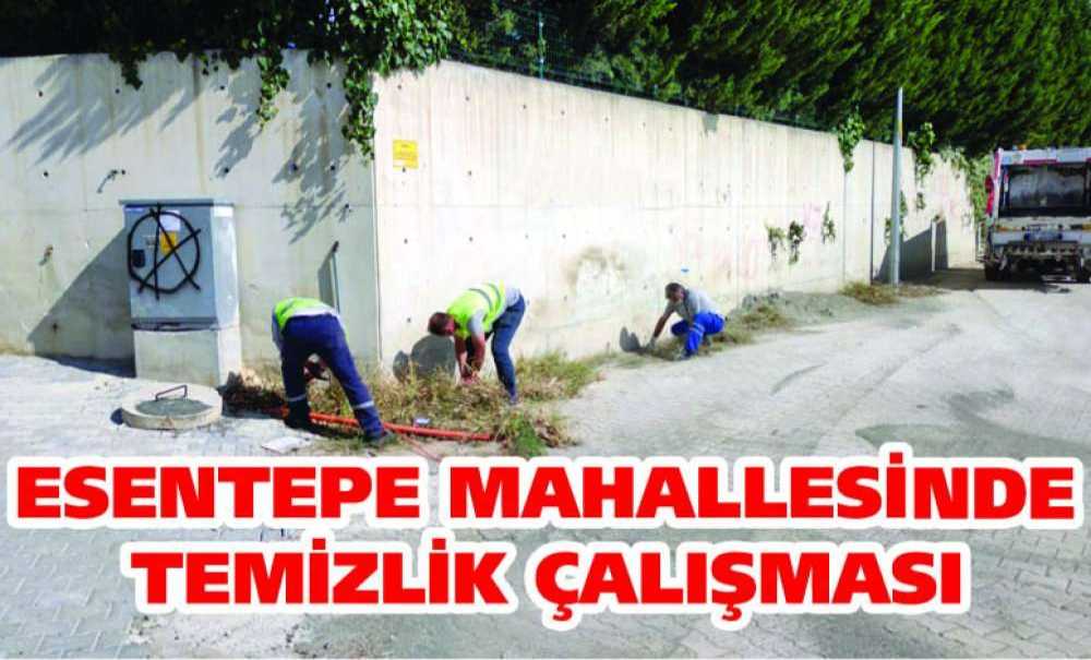 Esentepe Mahallesinde Temizlik Çalışması