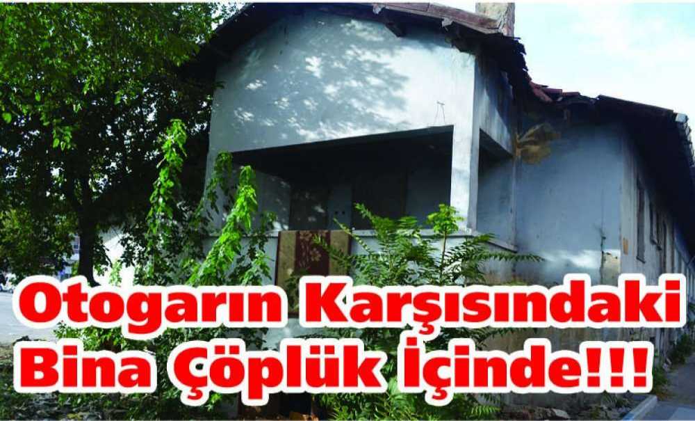 Otogarın Karşısındaki Bina Çöplük İçinde!!!