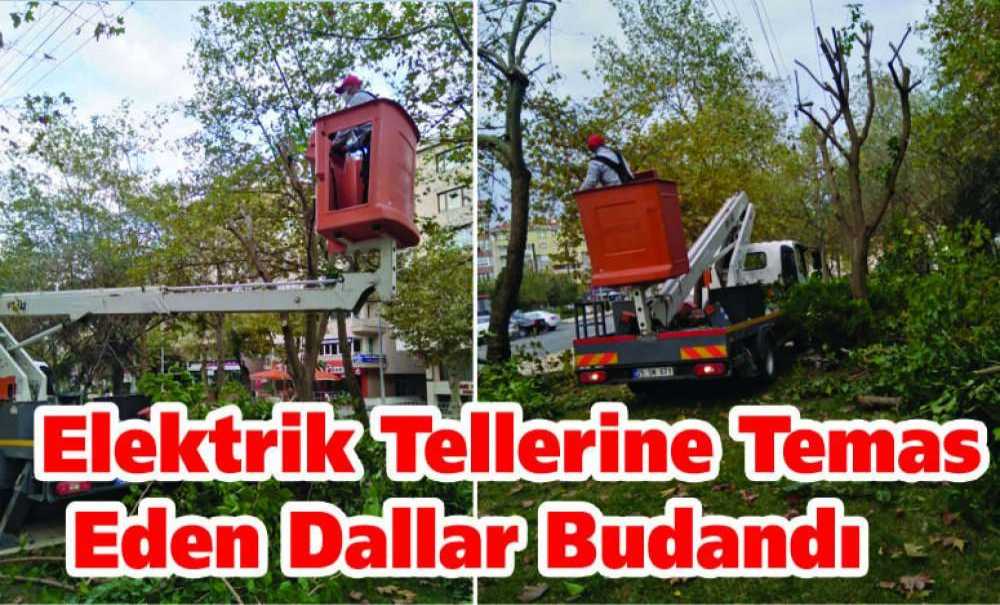 Elektrik Tellerine Temas Eden Dallar Budandı