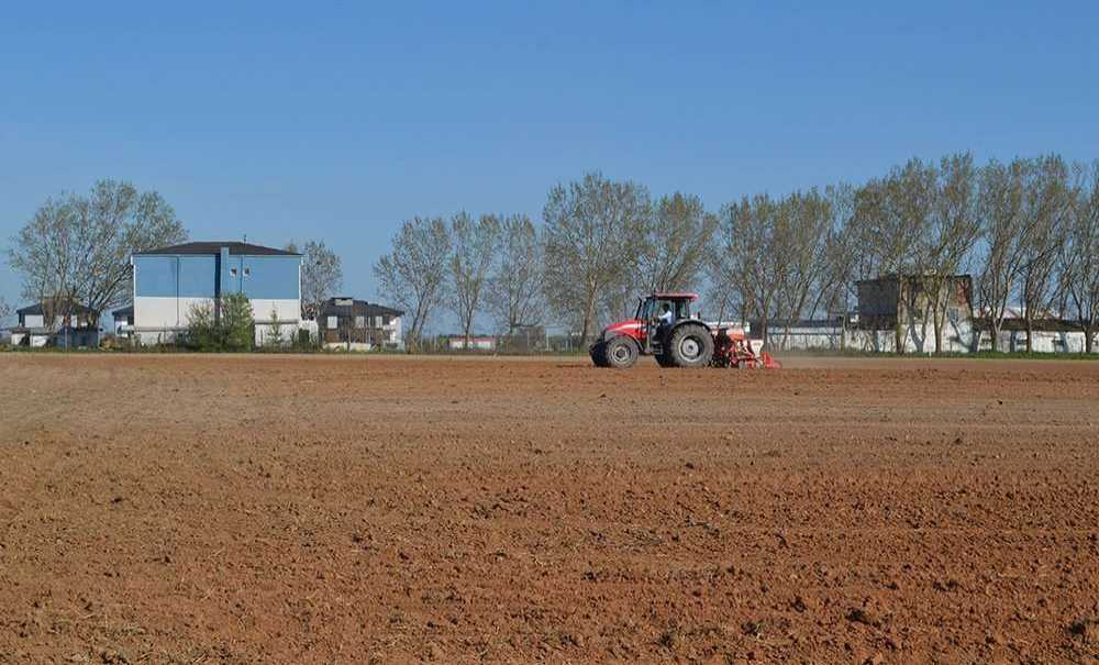 “Buğday Ekim Alanlarını Genişletmemiz Gerekiyor”