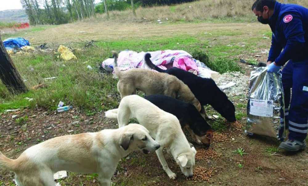 Sokak Hayvanlarına Mama Desteği Sürüyor