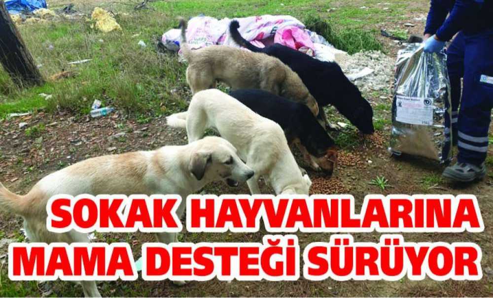 Sokak Hayvanlarına Mama Desteği Sürüyor