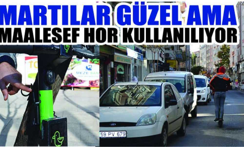 Martılar Güzel Ama Maalesef Hor Kullanılıyor