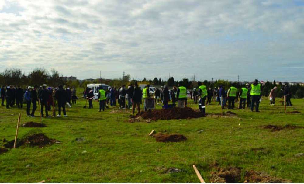 Çorlu'da Ağaçlar Toprakla Buluştu