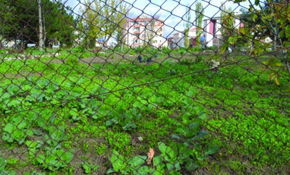 Yıllardır Boş Duran Alana Neden Bir Şey Yapılmıyor?