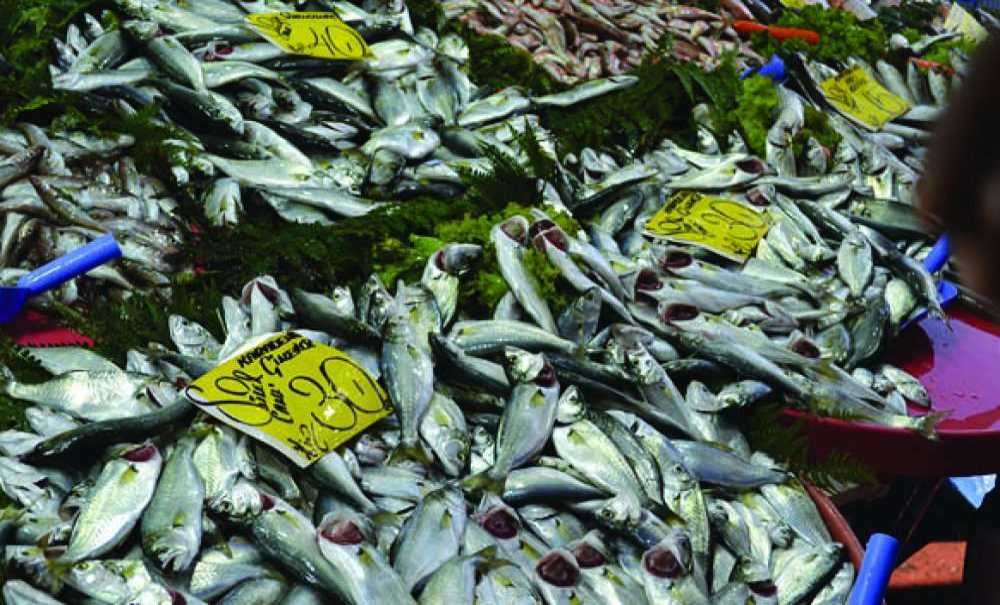 Hamsinin Fiyatı Yüz Güldürdü