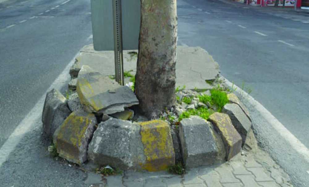 Vatandaşlar Refüjlere Bakım Yapılmasını İstedi