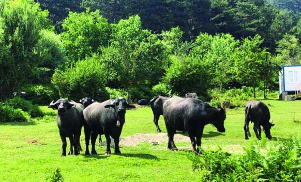 “Korona Virüs Tarımın Önemini Gösterdi”