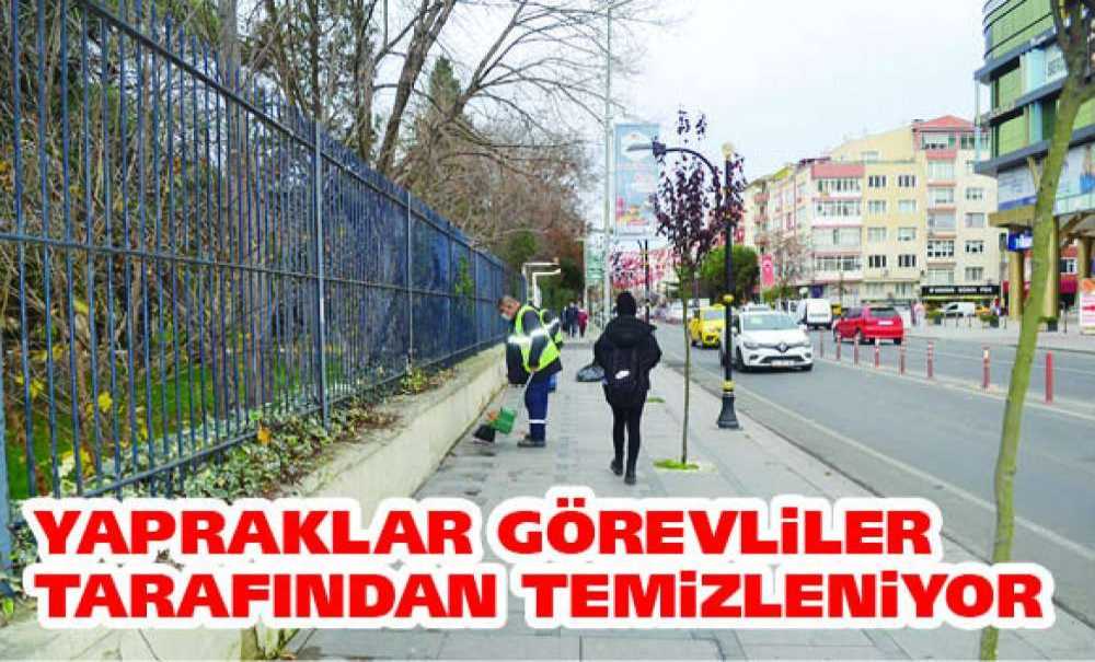 Yapraklar Görevliler Tarafından Temizleniyor